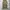 Whoau repro m65 cargo pants  photo 3