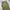 Whoau repro m65 cargo pants  photo 2