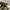 Whoau repro m65 cargo pants  photo 6