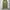Whoau repro m65 cargo pants  photo 1