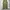 Whoau Repro M65 Cargo Pants 