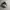 Golden Goose Hi Star photo 1
