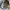 Golden Goose Hi Star photo 7