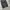 Good life works jeans baggy pants photo 5