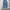 Gu uniqlo one tuck wide cargo pants photo 1