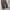 Ootj seoul jeans baggy pants photo 5