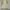 Long Dress Yellow Flower photo 1