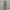 Olive Green Long Dress