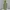 Olive Green Long Dress photo 2