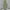 Olive Green Long Dress