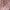 Minimalist Casual Wanita pink photo 4