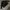 Canvas outer double big pocket jacket photo 2