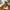 Converse Chuck 70 AT CX HI green photo 3