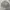Burberry London England Sweet Knitwear photo 2
