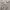 Burberry London England Sweet Knitwear photo 4