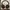 headphone baseus bowie D05 photo 1