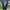 Jersey away Manchester united  2021/22 photo 2