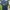 Jersey away Manchester united  2021/22 photo 1