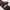 VINTAGE TIE'S WITTILY D-KT 8235 | DASI SUTRA ORIGINAL photo 5