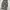 Felix Zola Corduroy Army Pants photo 6