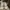 Adidas Casual Casual shoe Pria white black photo 2