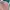 Floral Shirt Blouse in Pastel photo 9