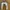 Crop Bolero photo 1