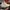 Sepatu Skechers  Million Air-Elevated Air  (Off White, UE 37 photo 1