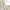 Blouse white pita korean look  photo 1