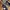 VANS OLDSKOOL STYLE 36 PARISIAN NIGHT photo 7