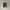 Salomon Streetwear Sportswear Sneakers Pria Gray