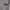 The North Face Minimalist Casual Sweater Pria gray photo 2