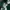 Adidas Adibreak Track Pants Celana photo 3