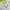 Nike Sportswear Jersey Pria white green photo 4