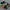 Nike flex kids velcro / sepatu anak nike / nike velcro photo 1