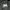 Champion eco MIT dark grey hoodie photo 4