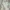 NEPA Biker Sportswear Bomber Jacket Wanita Green Cream