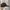 Casual Hat Pria brown photo 3