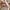 Vintage Casual Hat Pria tan photo 7