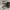 converse chuck tylor high leather bw photo 3