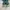 converse 70s midnight turo photo 4