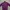 Track Jacket Adidas