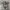 converse chuck taylor as hiker hi leather photo 2