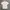 ADIDAS H SHMOO SS TEE