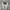 vans authenthic white anaheim photo 2
