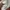 vans authenthic white anaheim photo 4