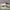 vans authenthic white anaheim photo 1