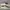 Vans Authenthic White Anaheim