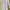 Lab coat SMA IPEKA size S photo 1
