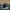 Adidas Tubular Yeezy Breathable Original Second  photo 1